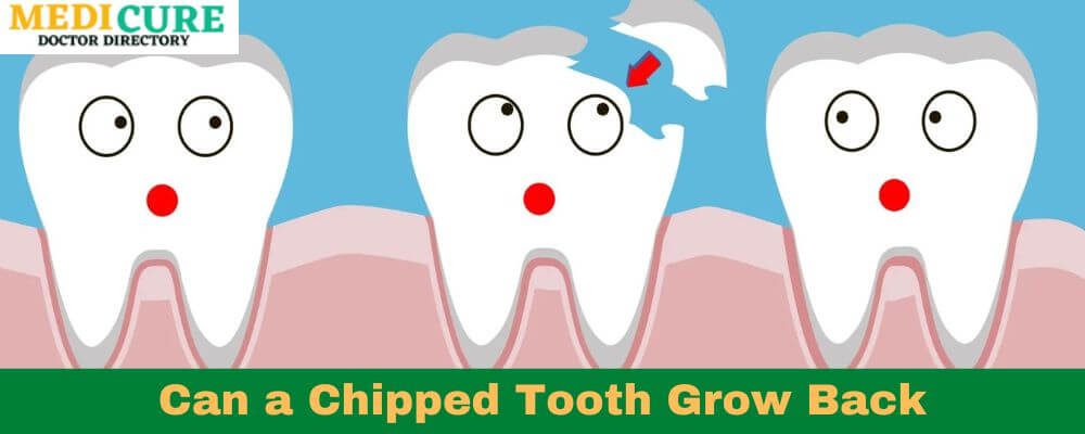 Can a Chipped Tooth Grow Back