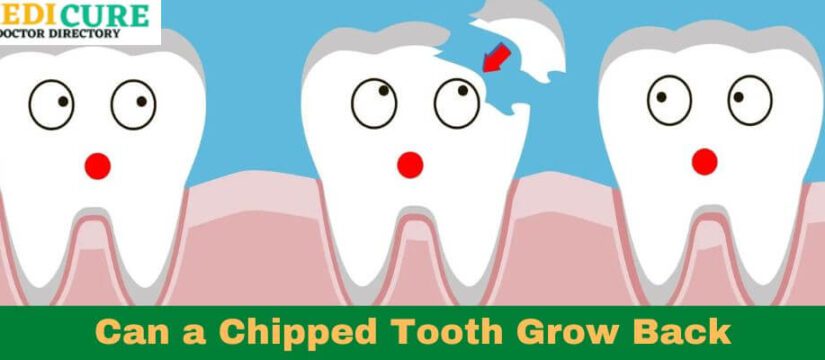 Can a Chipped Tooth Grow Back
