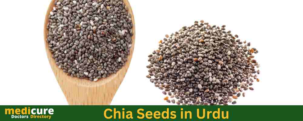 Chia Seeds in Urdu: Benefits, Uses, Precautions